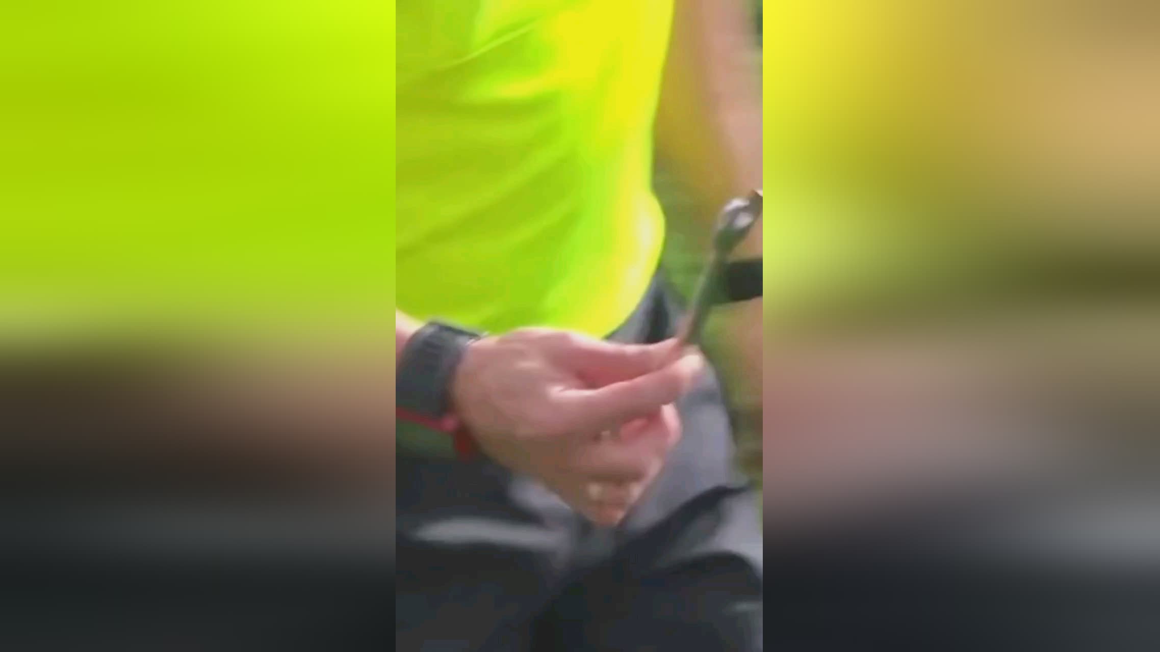 功与马